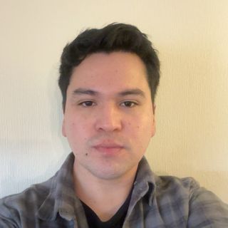Diego Andrés Pavez Parra
