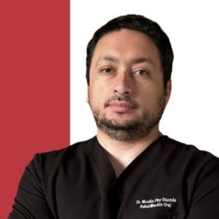 Nicolas Pino Guzman